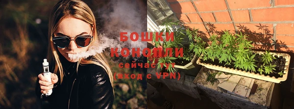 мет Лагань