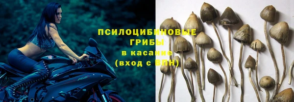 кокаин колумбия Ладушкин