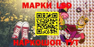 индика Кимры