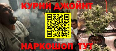 индика Кимры