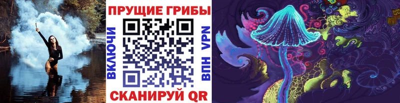 как найти наркотики  Реутов  Псилоцибиновые грибы Magic Shrooms 
