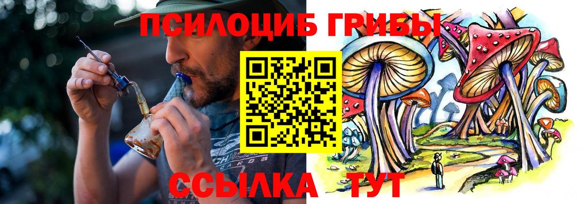 Реутов  Псилоцибиновые грибы GOLDEN TEACHER  Вход с VPN 